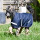 image 2 of Rhinegold Waterproof Dog Coat Brown | XXS