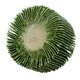 image 2 of 60 Grit 60mm Flap Wheel Disc Abrasive Sanding Pads For Drills 6mm Shank 10pc