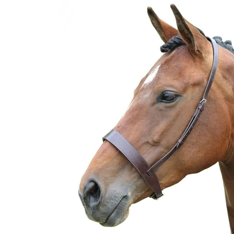 Blenheim Hunter Leather Horse Cavesson - Brown - Full