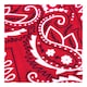 image 3 of Brown Studded Cowboy Hat & Red Paisley Bandana | Multi | 1