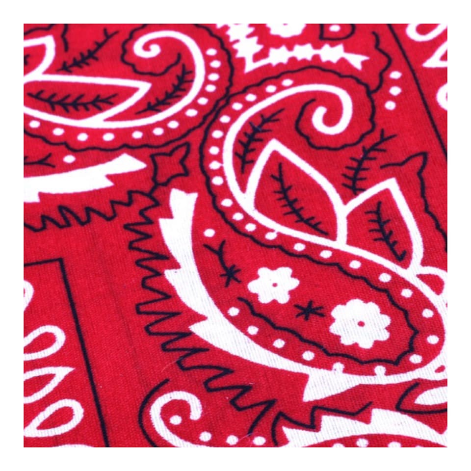 image 1 of Brown Studded Cowboy Hat & Red Paisley Bandana | Multi | 1