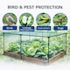 image 5 of GardenSkill Fruit & Vegetable Cage Kit with Insect Mesh 1.25m x 0.625m H - Quick Build Garden Crop Protection Frame for Brassicas, Raised Beds
