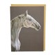 image 1 of Deckled Edge Eureka Card - The Grey - One Size