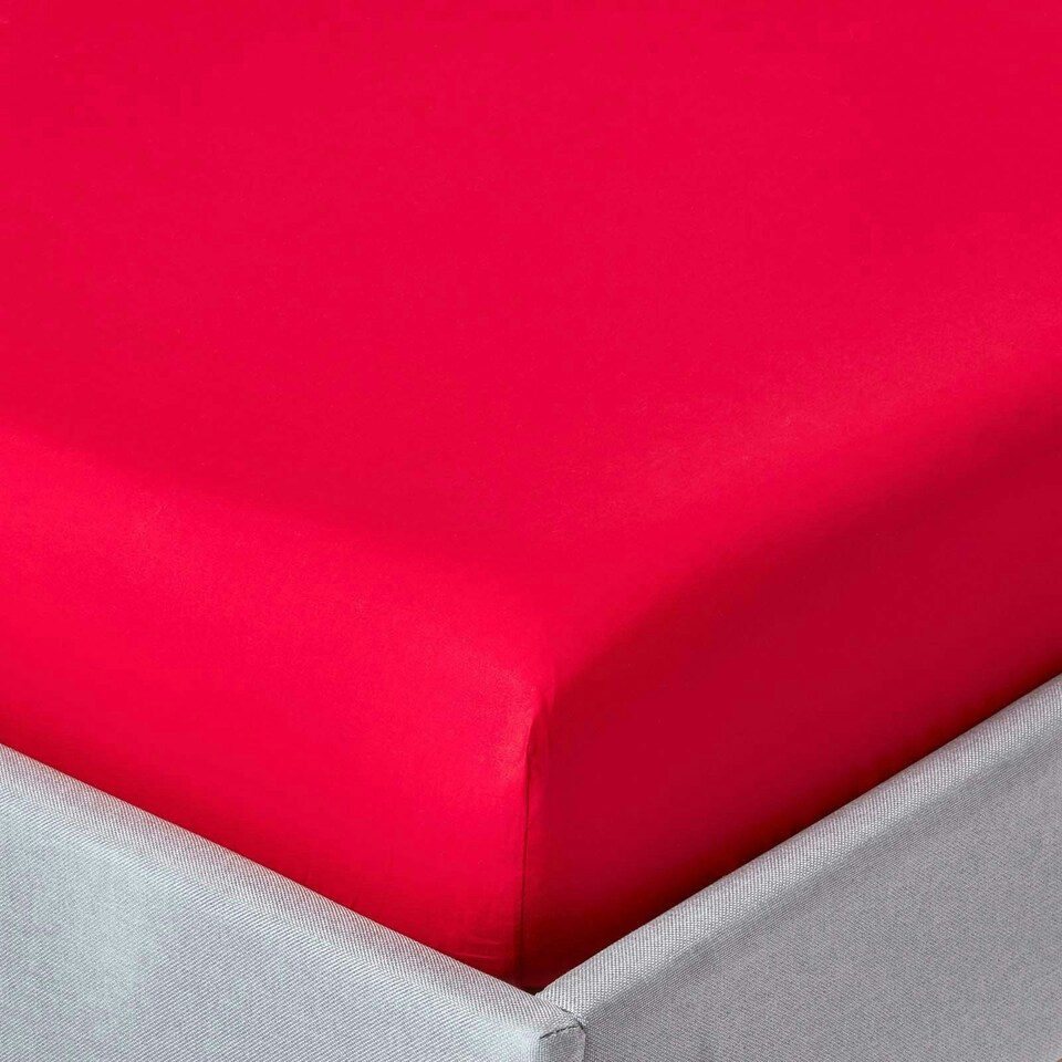 image 1 of Homescapes Red Egyptian Cotton Fitted Sheet 200 TC, Super King Red | Super King