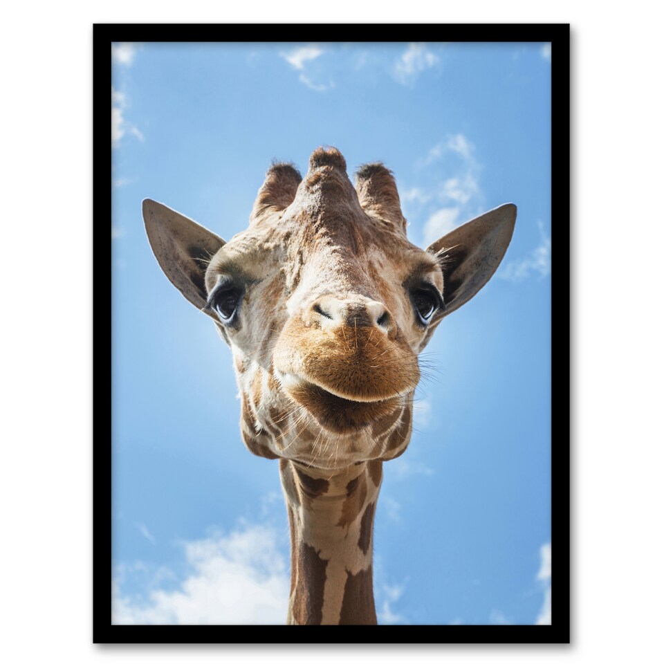 image 1 of Carol M Highsmith Giraffe Head Up Close Look Framed Wall Art Picture Print A3