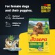 image 2 of Josera Mother & Puppy Salmon & Rice | Pregnant & nursing mothers | Weaning puppies | Soakable small kibble | Optimal development | Gluten free | 3kg