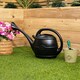 image 3 of 10L Garden Patio Ward Watering Can with Rose in Green