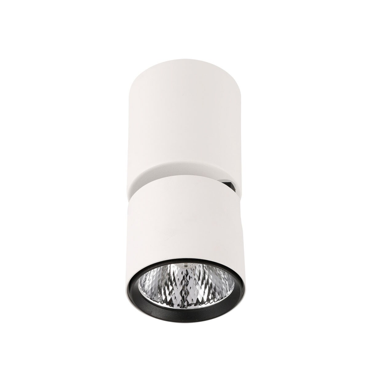 Netlighting Boniva Modern Surface Mounted Downlight LED 3000K in White