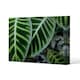 image 1 of yellow structure in exotic jungle setting (Canvas Print) 114 x 77 x 4cm