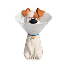 Max The Dog With Cone Collar Secret Life of Pets Star Mini Cardboard Cutout 92cm