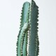 image 4 of Homescapes Hylocereus Artificial Cactus In Decorative Textured Stone Pot, 49 cm Tall