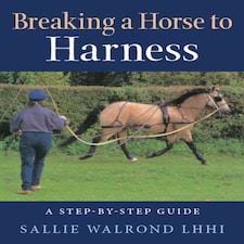 Breaking A Horse To Harness