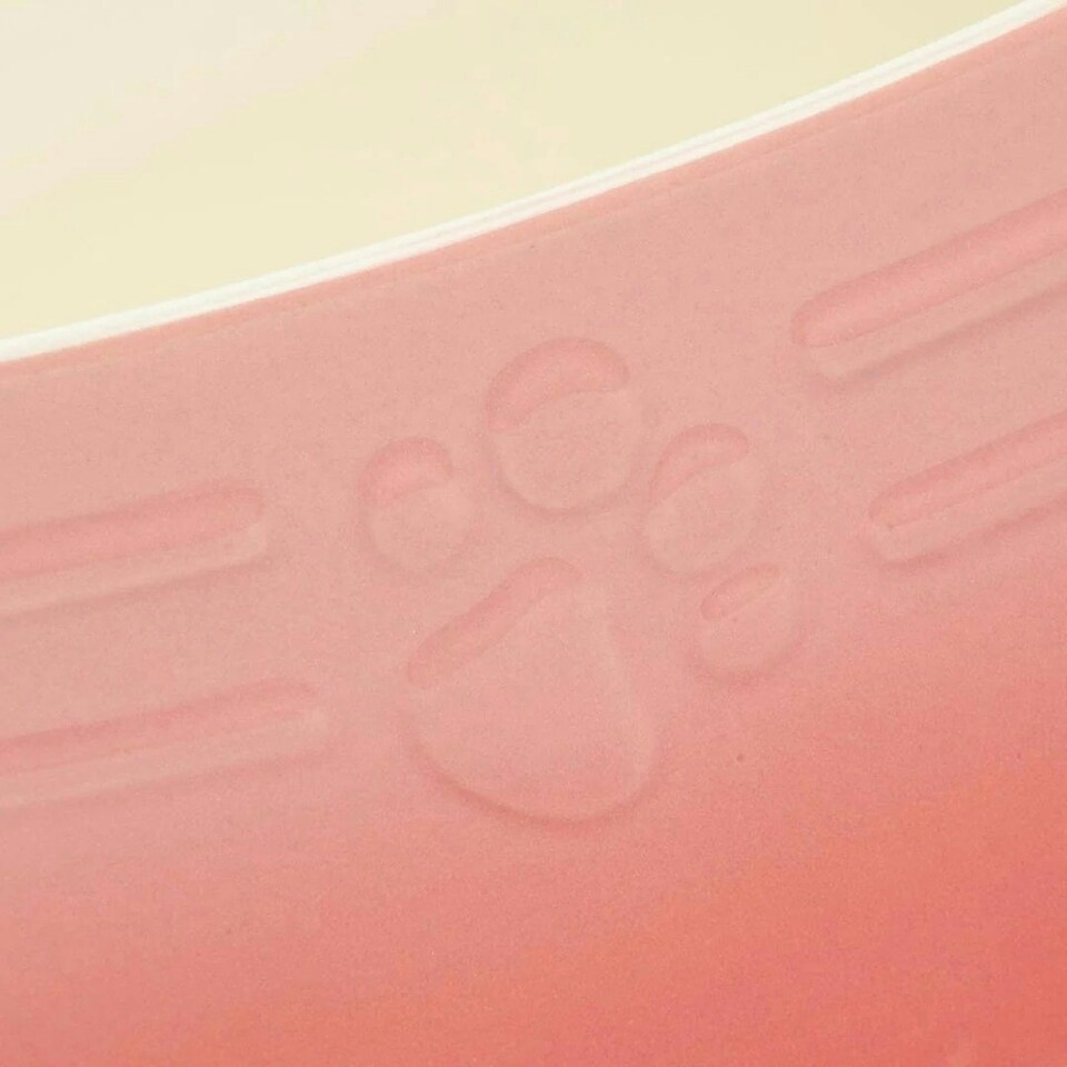 image 1 of Scruffs Ceramic Ombre Pet Food Bowl 13cm | Pink | 1