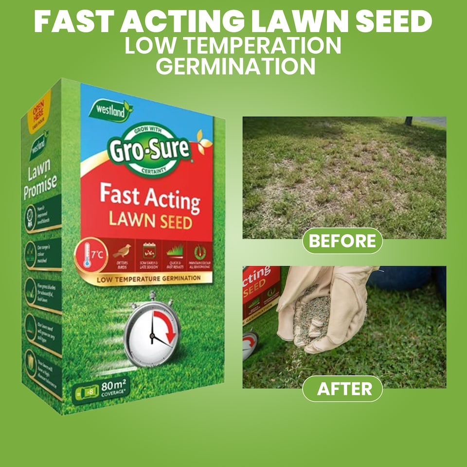 image 1 of Gro-Sure Fast Acting Lawn Seed 80 Square Meter Quick Growing Hard Wearing Grass Ideal for Bare Patches & Overseeding | Brown