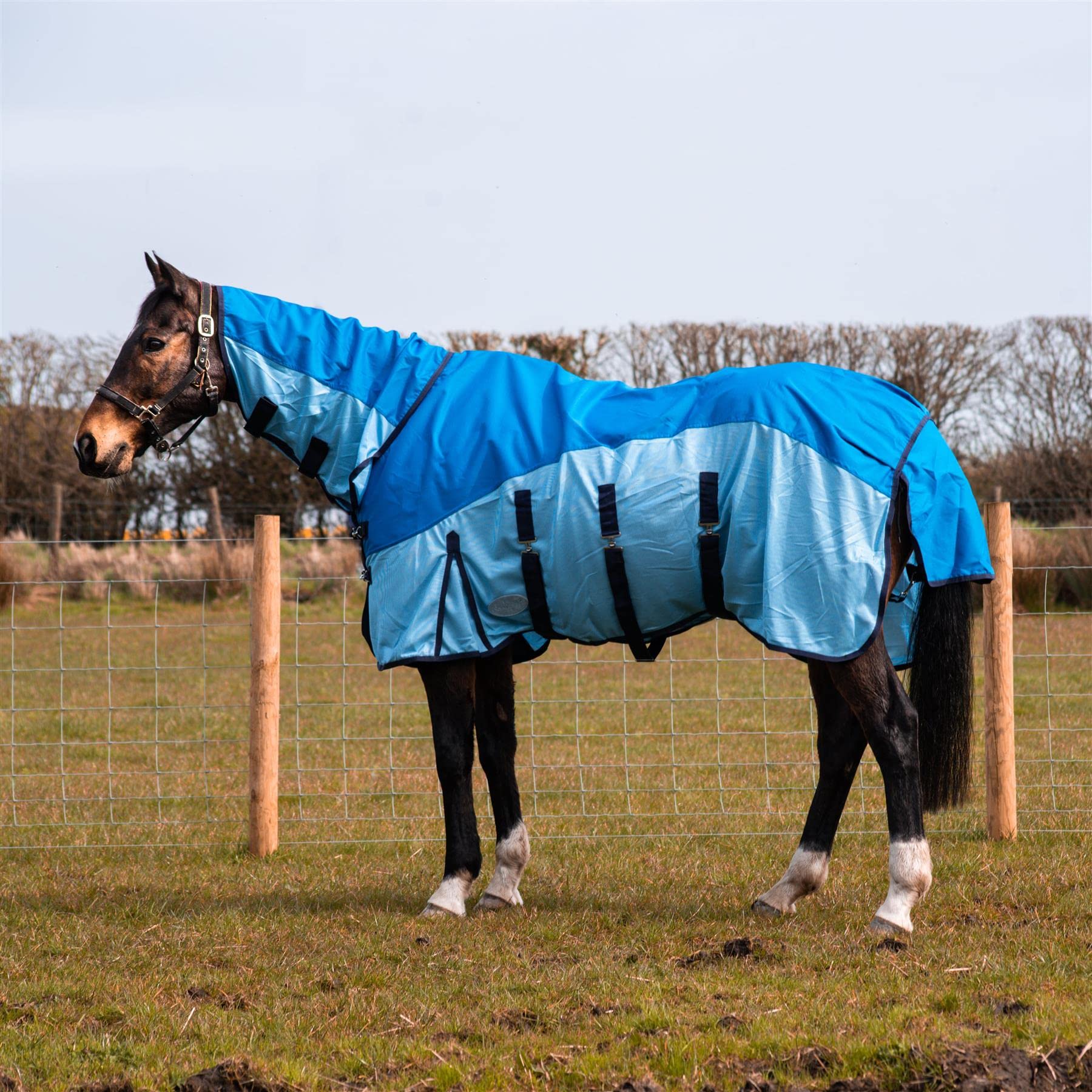 eQuitack 600D 2 in 1 Waterproof Fly Turnout Mesh Horse Rug Fixed Neck Blue/Light Blue 6'9''