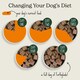 image 6 of Senior Turkey & Butternut Squash Wet Dog Food (18x395g)