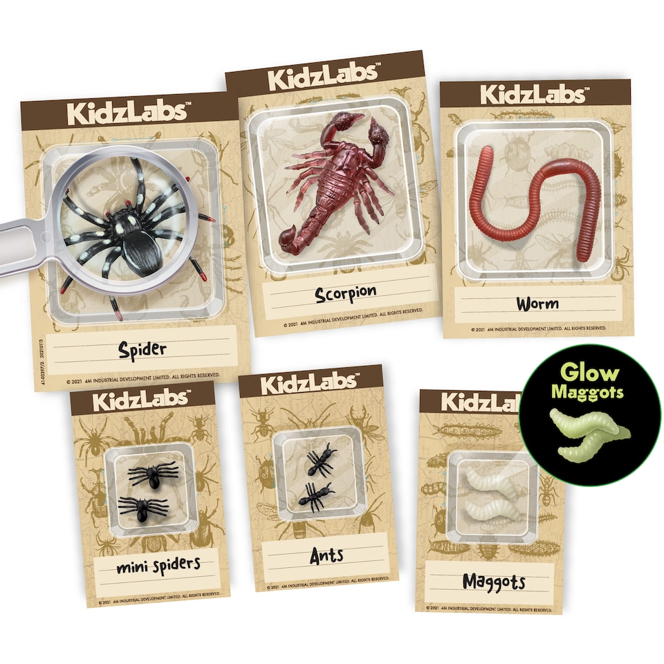 image 1 of Kidzlabs - Creepy Crawly Digging Lab