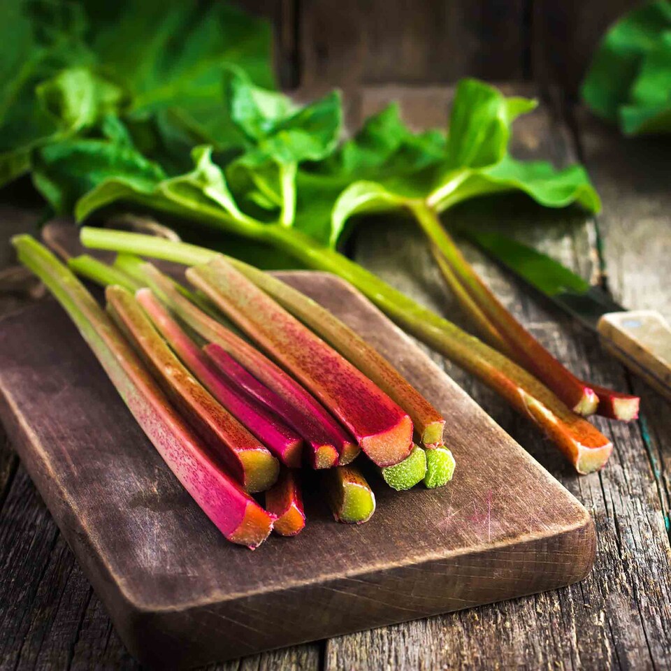 image 1 of Marshalls Garden Rhubarb Collection - Victoria, Timperley Early, 3 x 2 Litre