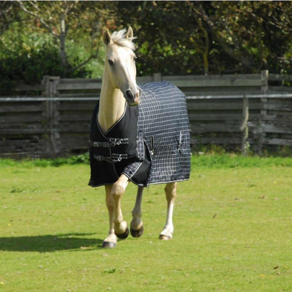 image 1 of Rhinegold Elite Montpelier Rug Black | Colour: Black/White Check
Size: 6ft 9