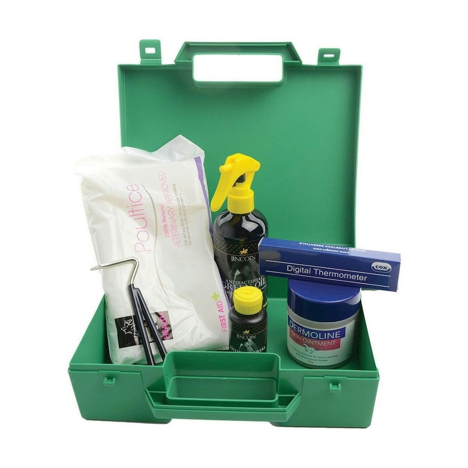 Lincoln First Aid Kit - Green - One Size (UTBZ129)