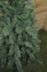 image 7 of 4ft Colorado Spruce Christmas Tree in Green with 287 tips 70cm Diameter