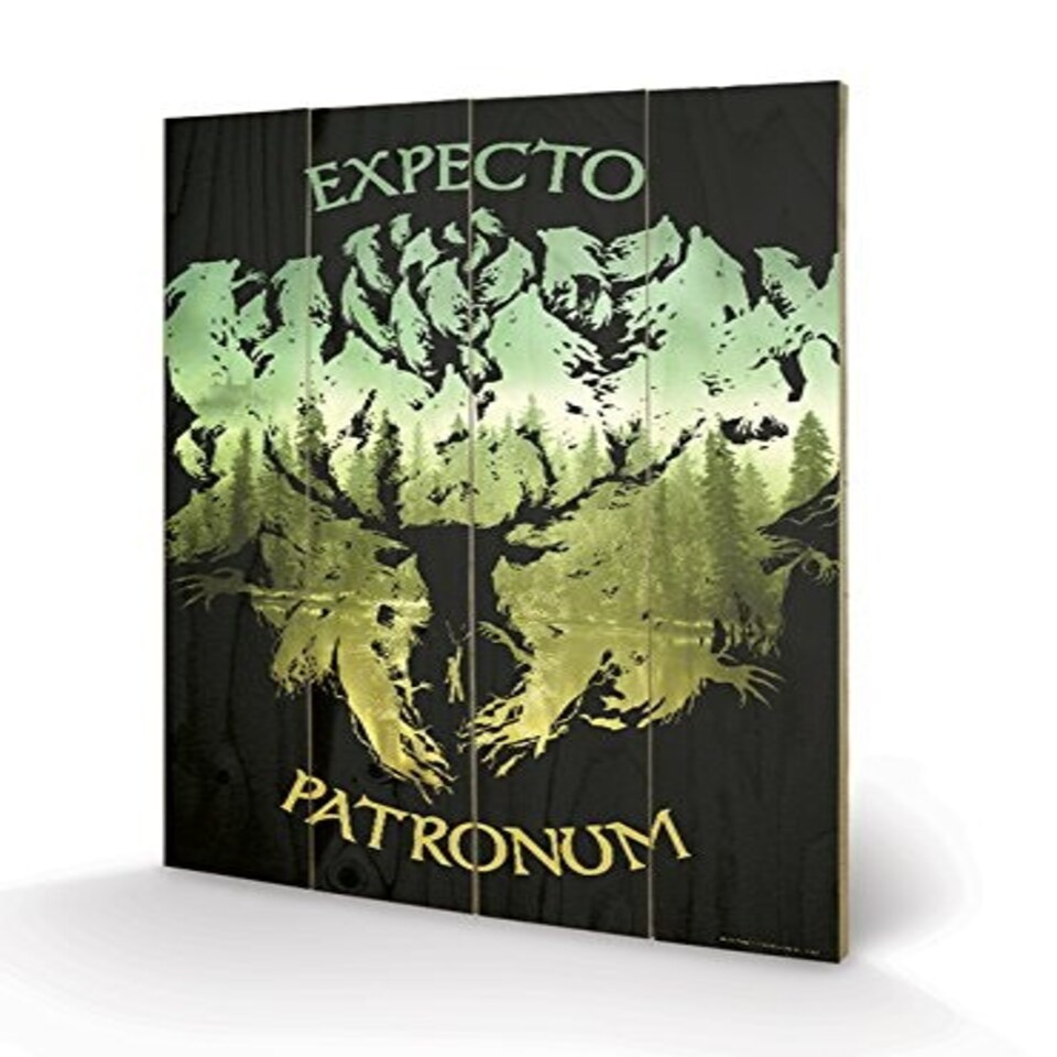 HARRY POTTER (EXPECTO PATRONUM) SMALL WOOD - WOOD PANEL