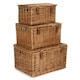 image 3 of Set of 3 Light Steamed Windsor Wicker Basket | Brown | Brown