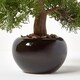 image 3 of Homescapes Artificial Bonsai Tree in Black Ceramic Pot
