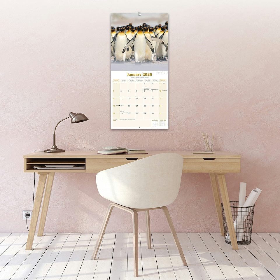 image 1 of Penguins 2026 Calendar | Square Wall Calendar | Animal Gift | Plastic Free Packaging | by Avonside Publishing