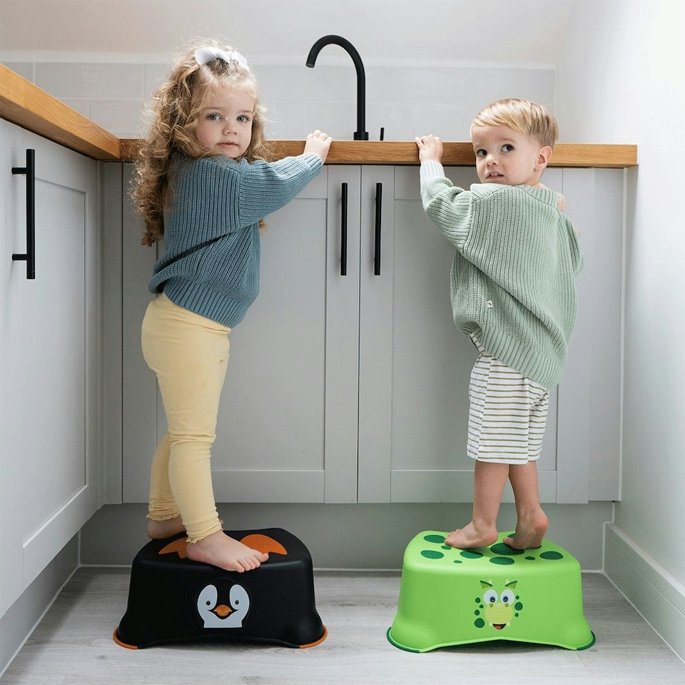 image 1 of Dinosaur My Little Step Stool