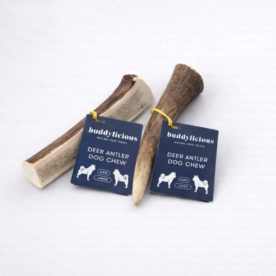 Buddylicious Buddylicious Antler Chew Easy Hard Dental pet food packaging