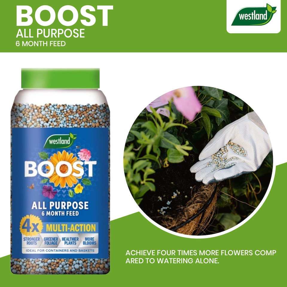 image 1 of Westland Boost All Purpose Plant Food 750g Slow Release Granules 6 Month Feed for Flowers Fruits Vegetables Healthy Growth