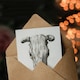 image 3 of Jean Bernard Art Card Skull of a Cow Pencil Drawing