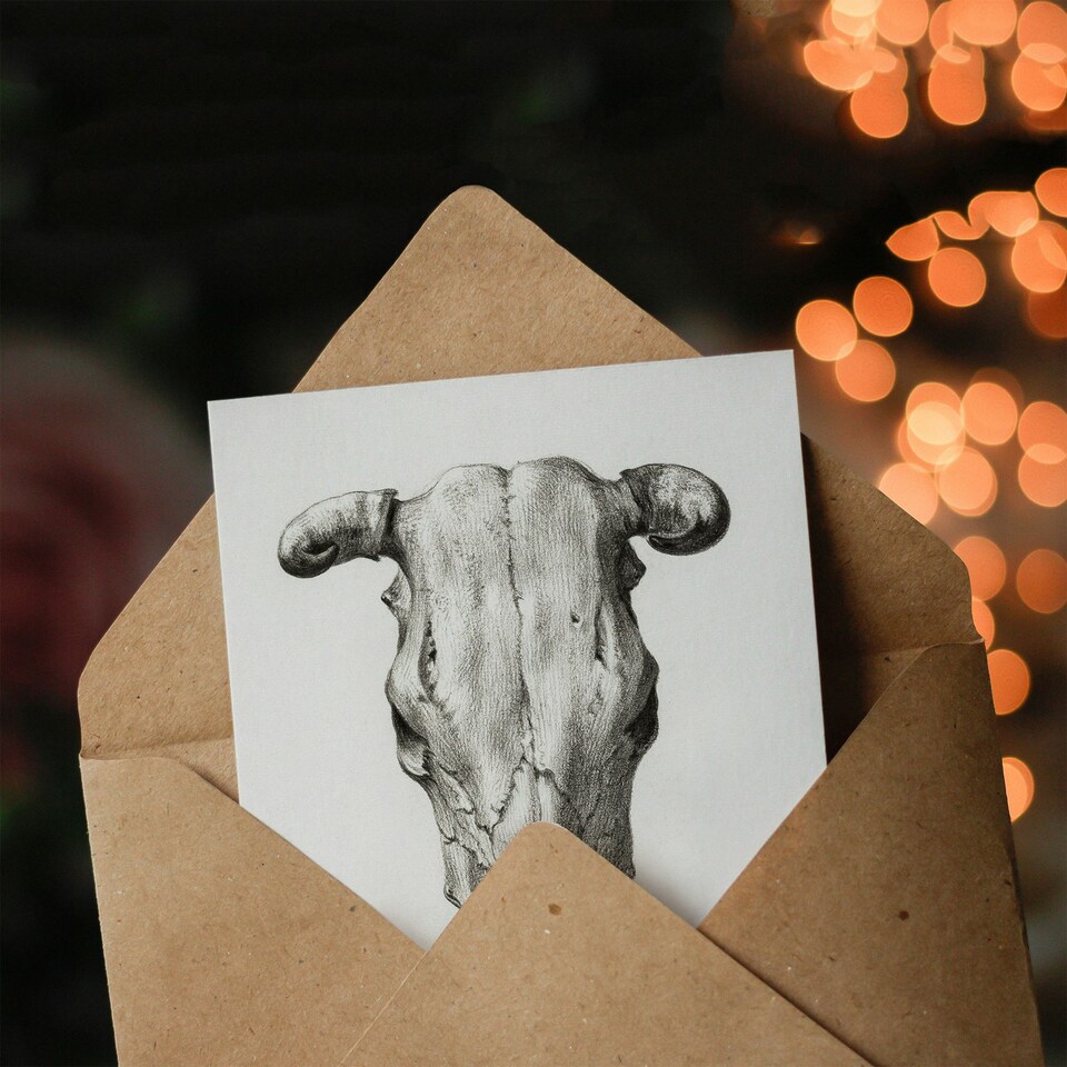 image 1 of Jean Bernard Art Card Skull of a Cow Pencil Drawing