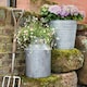 image 2 of Galvanised Milk Churn