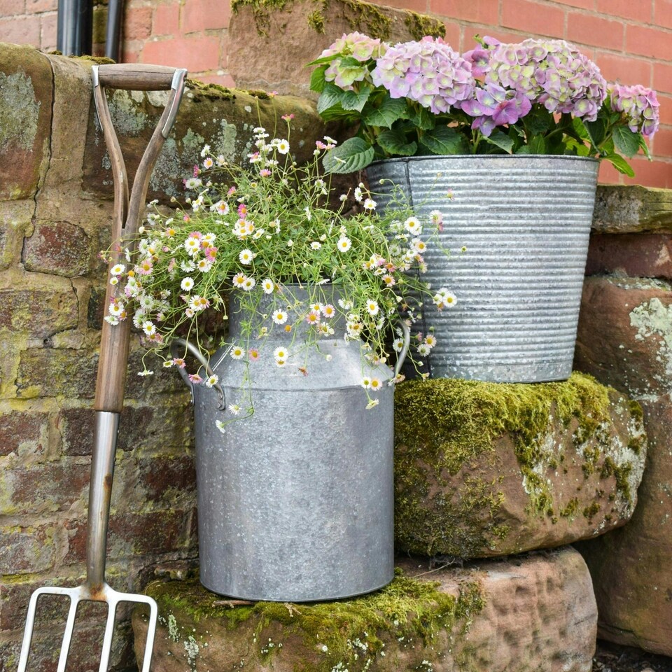 image 1 of Galvanised Milk Churn