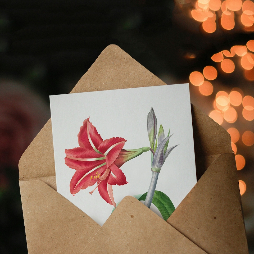 image 1 of Pierre-Joseph Redouté Art Card Brazilian Amaryllis Flower