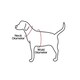 image 5 of Dog Raincoat, Sherpa Fleece Black | XXL