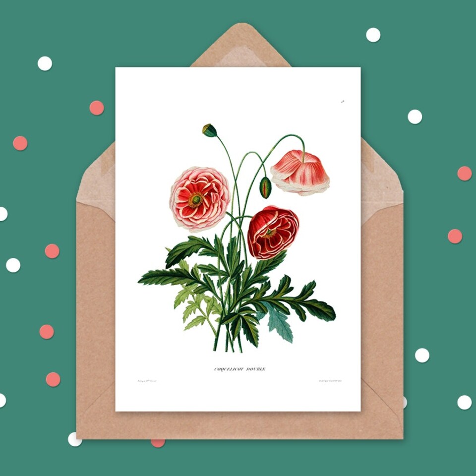 image 1 of Flower Poppy Coquelicot Double Art Blank Just to Say Card