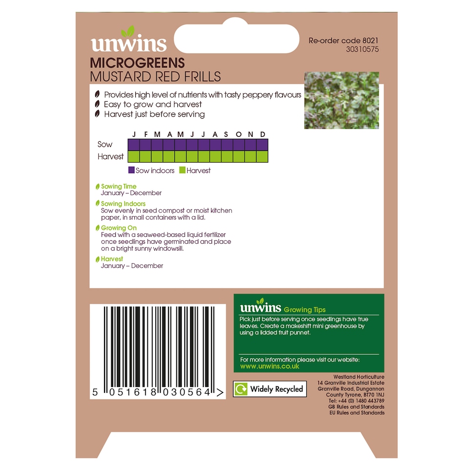 image 1 of MicroGreens Mustard Red Frills | Multi | Green, Red, Purple | Seeds