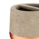 image 3 of Neptune Toothbrush Holder