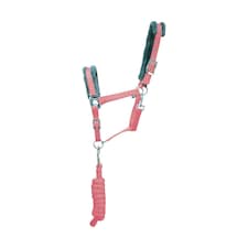 Hy Active Horse Headcollar and Leadrope - Coral Rose - Cob