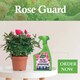 image 10 of Westland Rose Guard RTU 800ml Spray for Healthy Leaves Vibrant Colour Disease Protection and Stronger Blooms for Roses