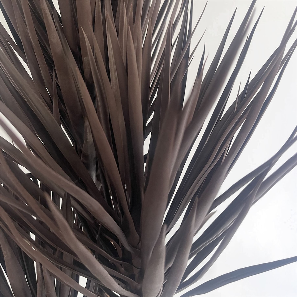 image 1 of Artificial Yukka Tree Plant Spiky UV Resistant Outdoor Tree Triple Dark Red and Brown Botanik | Brown | 5ft