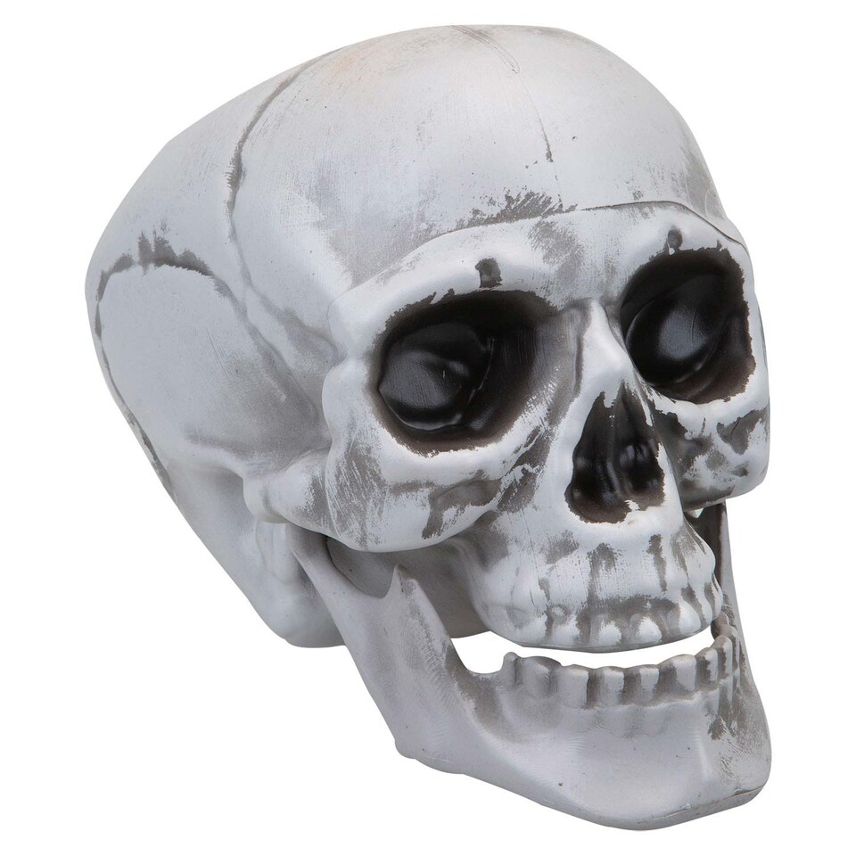 image 1 of PMS Large Skull Decoration with Moving Jaw - 19cm White