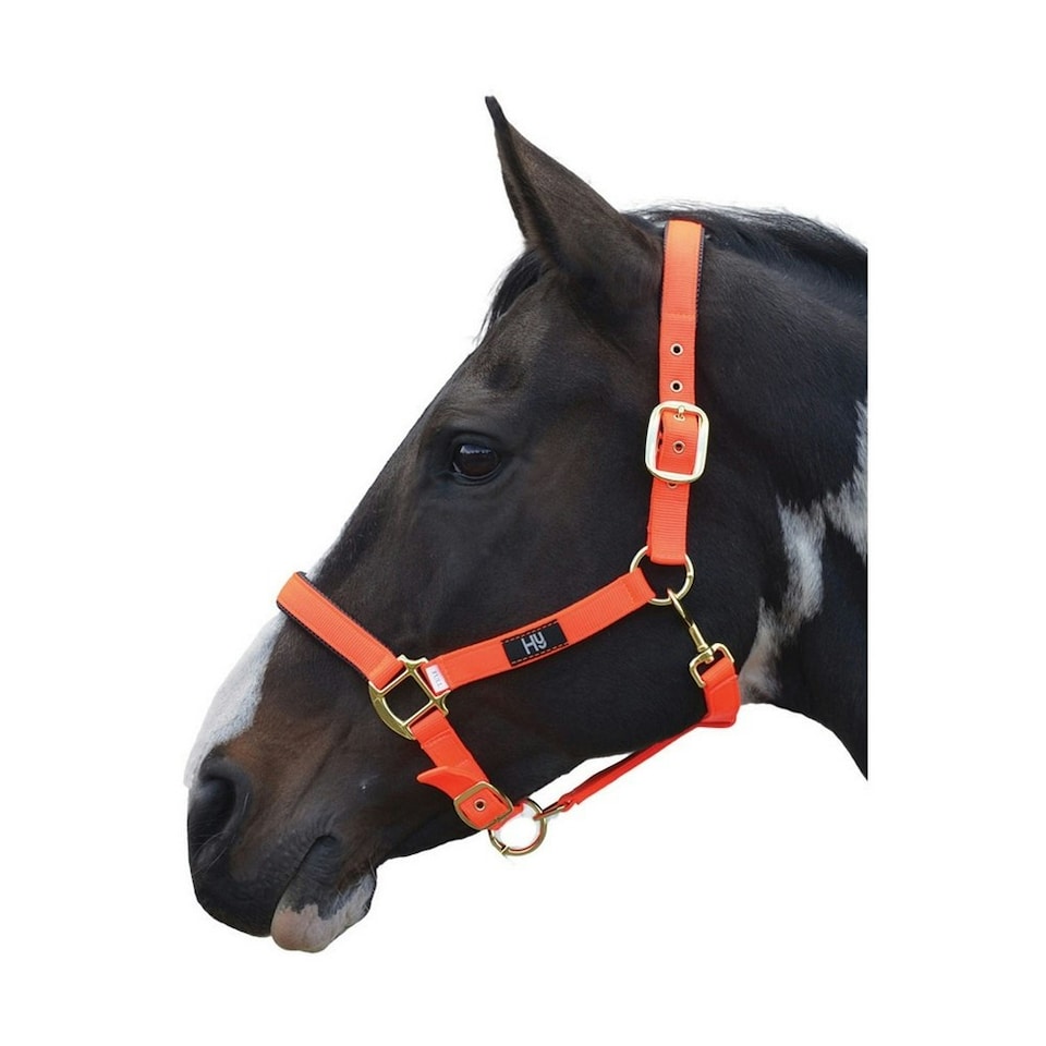Hy Grand Prix Head Collar - Hot Orange - Full