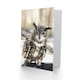 image 2 of Carol M Highsmith Art Card Long Eared Owl Perched On A Rock