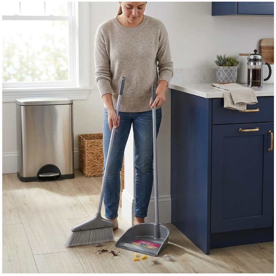 image 1 of Home Cleaning Long Handle Dust Pan & Brush Set Soft Bristles Household