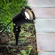 image 1 of ValueLights Modern Ground Spike Wall Mount IP65 Rated Outdoor Light In Black Finish