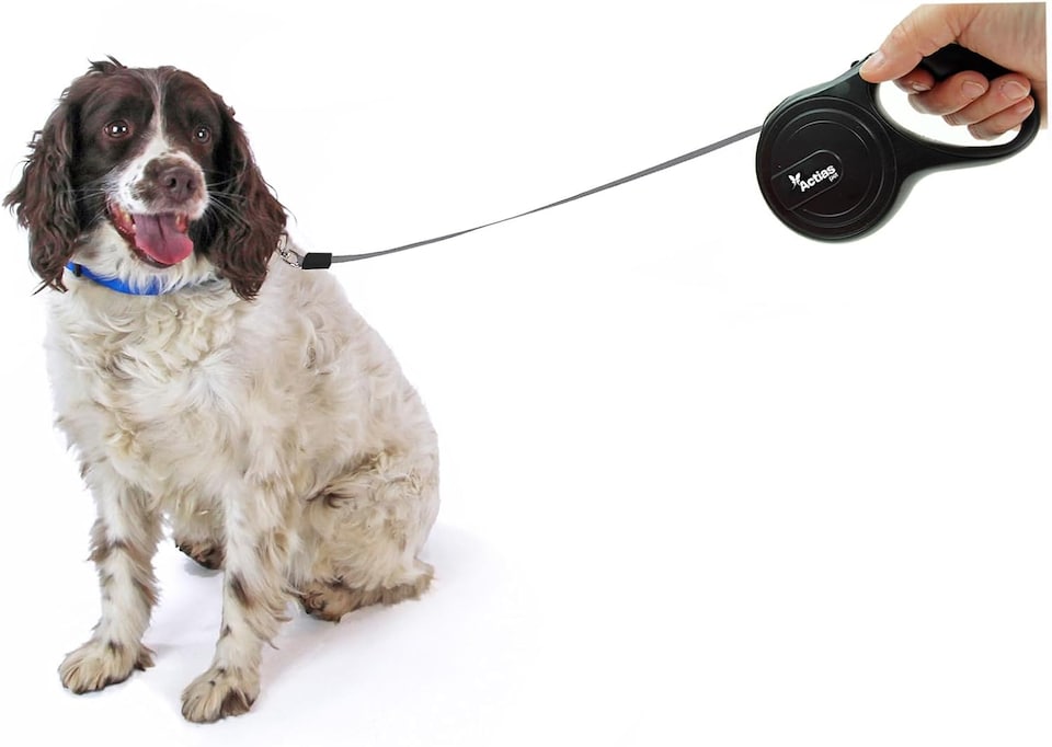 image 1 of Actiaspet Retractable Dog Lead Training Pet Leash 8m Max 50kgs Extendable (Black)